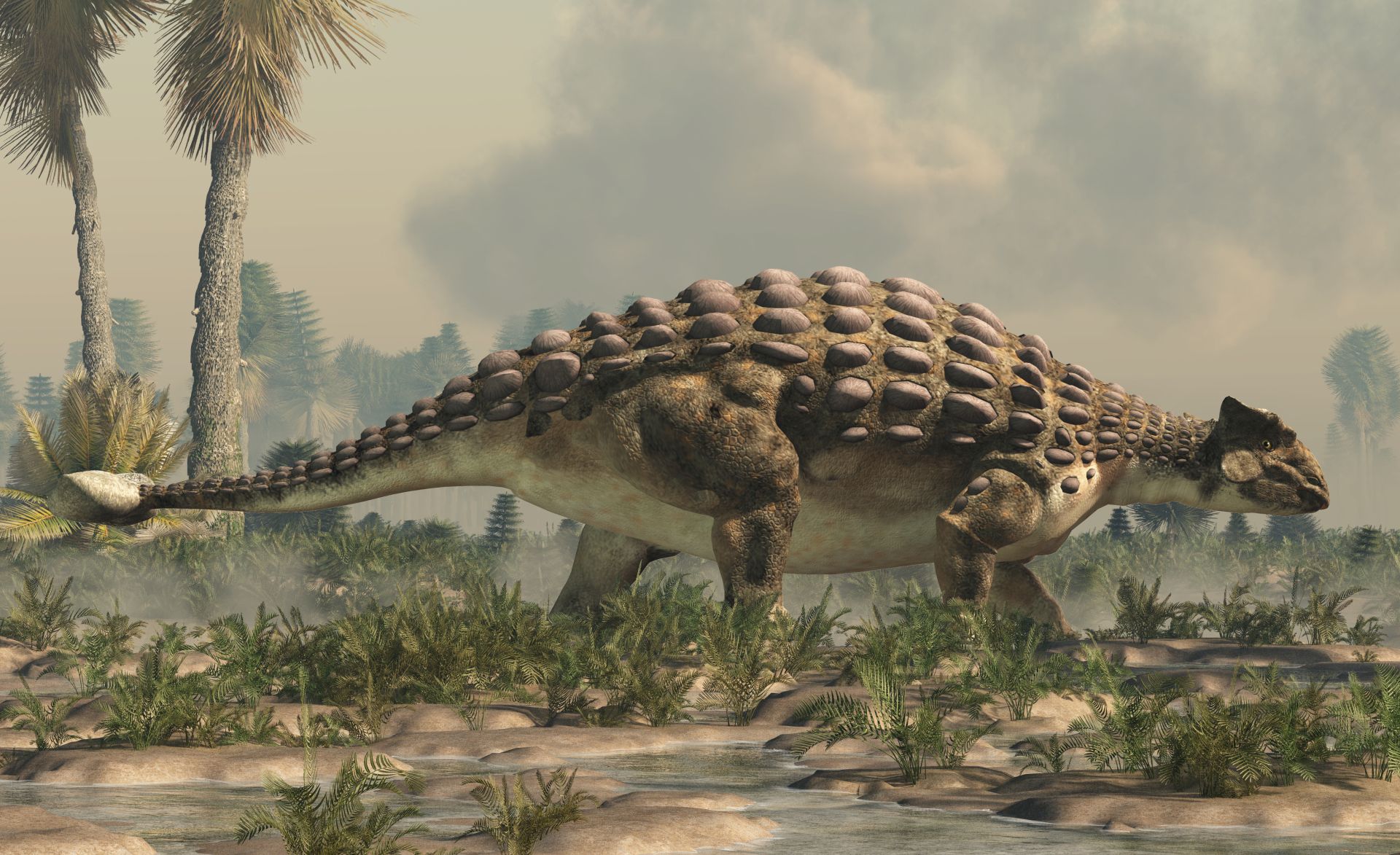 ankylosaurus-dinosaurus